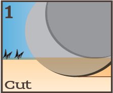 Seed placement graphic step one: Cut.