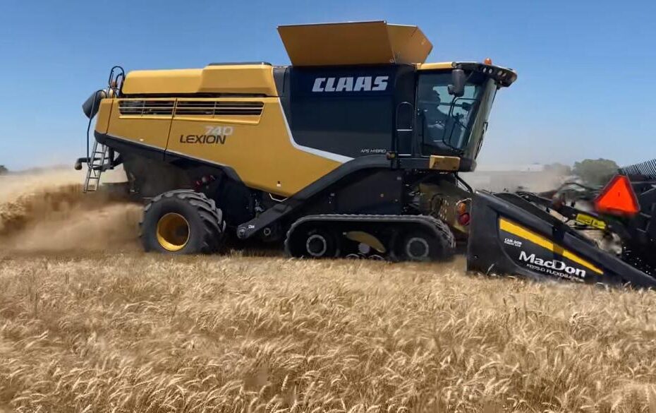 CLAAS equipment harvesting wheat.